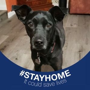 Meet your Posher, Pam